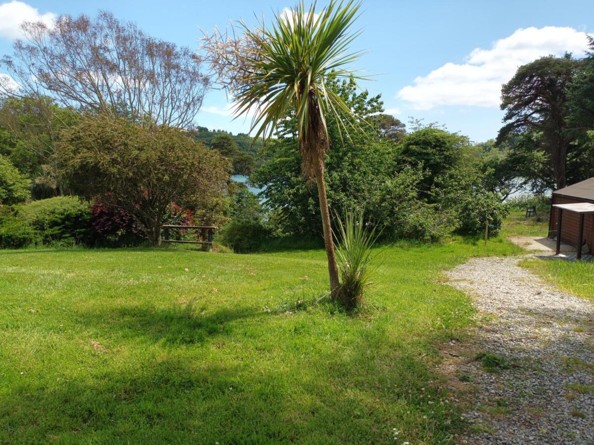 Sea View 1-Bed Cottage With Private Garden Skibbereen Eksteriør billede